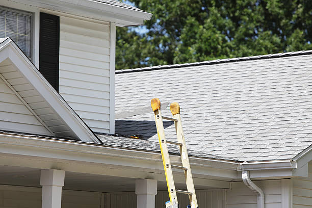 Best Storm Damage Siding Repair  in USA